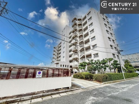 ���̑����n �u���̕����C�ɂȂ�I�v�u�������Ăǂ�ȏ��H�v�u�����Əڂ����m�肽���I�v�Ǝv������A���C�y�ɂ����k���������B