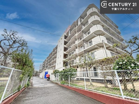 ���̑����n �u���̕����C�ɂȂ�I�v�u�������Ăǂ�ȏ��H�v�u�����Əڂ����m�肽���I�v�Ǝv������A���C�y�ɂ����k���������B