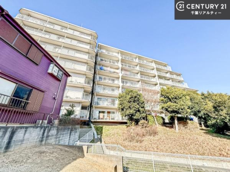 ���̑����n �u���̕����C�ɂȂ�I�v�u�������Ăǂ�ȏ��H�v�u�����Əڂ����m�肽���I�v�Ǝv������A���C�y�ɂ����k���������B