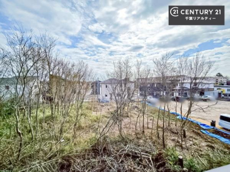 �Z�˂���̒��]�ʐ^ ���]�ǍD�ȃo���R�j�[�B���V�C�̂������ɂ̓o���R�j�[�ւłă��t���b�V������̂������ł��ˁI