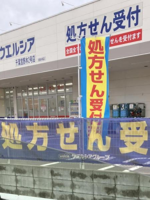 ���ӊ� �y�h���b�O�X�g�A�z�E�G���V�A�{���2���X�F650m