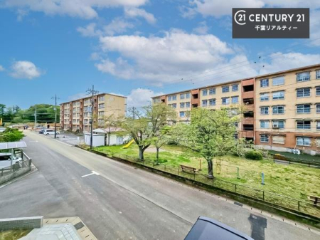 �Z�˂���̒��]�ʐ^ ���]�ǍD�ȃo���R�j�[�B���V�C�̂������ɂ̓o���R�j�[�ւłă��t���b�V������̂������ł��ˁI���͂ɍ����������Ȃ��̂ŁA�z������ƕ��ʂ����ǍD�ł��I