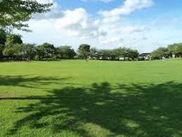 ���ӊ� �y�����z��̑�����F1053m