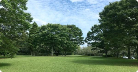 ���ӊ� �y���W���[�E�ό��z���a�����F3343m