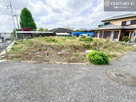 ���n�y�n�ʐ^ ���D���ȃn�E�X���[�J�[�ŗ��z�̂��Ƃ����Ă��܂��B
������񂾂��łȂ��A���ӊ������ꏏ�ɂ��ē��I
