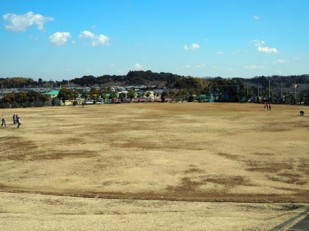 ���ӊ� �y�����z�����䒆�������F812m