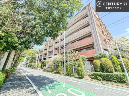 ���̑����n �u���̕����C�ɂȂ�I�v�u�������Ăǂ�ȏ��H�v�u�����Əڂ����m�肽���I�v�Ǝv������A���C�y�ɂ����k���������B