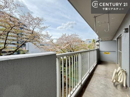 �o���R�j�[ �z������̗ǂ��o���R�j�[�ŁA�����󕨂��悭���������ł��ˁI
���V�C�̗ǂ����ɂ̓o���R�j�[�֏o�ă��t���b�V������̂��C�����悳�����ł��B