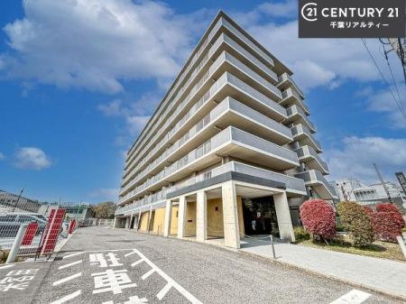 ���̑����n �u���̕����C�ɂȂ�I�v�u�������Ăǂ�ȏ��H�v�u�����Əڂ����m�肽���I�v�Ǝv������A���C�y�ɂ����k���������B