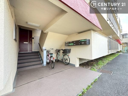 ���̑����n -