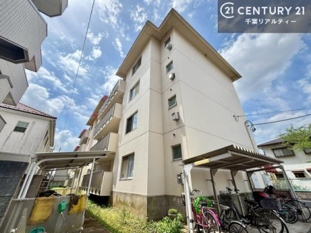 ���̑����n �u���̕����C�ɂȂ�I�v�u�������Ăǂ�ȏ��H�v�u�����Əڂ����m�肽���I�v�Ǝv������A���C�y�ɂ����k���������B