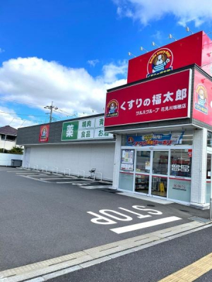 ���ӊ� �y�h���b�O�X�g�A�z������̕����Y�Ԍ��쐐��X�F470m