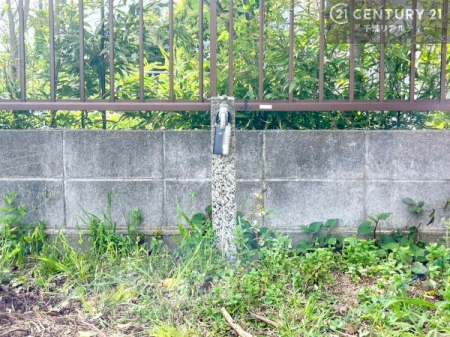 �� �O�������t��������ł��I�K�[�f�j���O�₨�q�l�̐��V�тɂ����Ă����Ȃ���ł��I�A�E�g�h�A���[�����Č��N�I�Ȑ��������ꂻ���ł��I