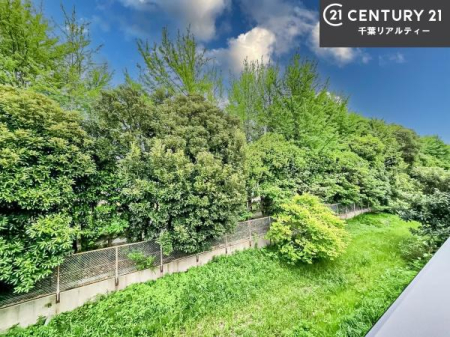 �Z�˂���̒��]�ʐ^ ������������Z��X�ł��I���͂ɂ͍����������Ȃ��A�󂪍L���J����������A�z�������傫���Ղ��邱�Ƃ�����܂���I�C�����̗ǂ������ʂ蔲����X���݂ł��I