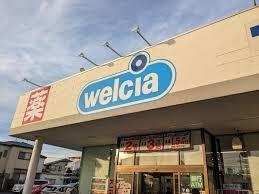 ���ӊ� �y�h���b�O�X�g�A�z�E�G���V�A�K�u������X�F280m