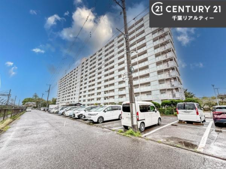 ���̑����n �u���̕����C�ɂȂ�I�v�u�������Ăǂ�ȏ��H�v�u�����Əڂ����m�肽���I�v�Ǝv������A���C�y�ɂ����k���������B