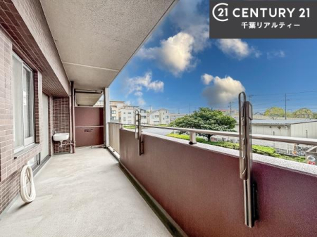 �o���R�j�[ �z������̗ǂ��o���R�j�[�ŁA�����󕨂��悭���������ł��ˁI
���V�C�̗ǂ����ɂ̓o���R�j�[�֏o�ă��t���b�V������̂��C�����悳�����ł��B