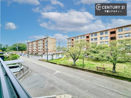 �Z�˂���̒��]�ʐ^ ���]�ǍD�ȃo���R�j�[�B���V�C�̂������ɂ̓o���R�j�[�ւłă��t���b�V������̂������ł��ˁI���͂ɍ����������Ȃ��̂ŁA�z������ƕ��ʂ����ǍD�ł��I