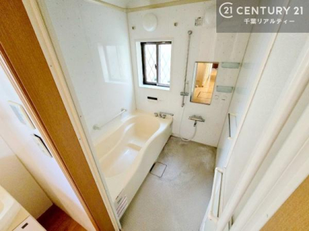 ���� �����������ƐL�΂��Ă��낰�闁���B����̔�������A�����b�N�X�����o�X�^�C�������߂������������܂��B