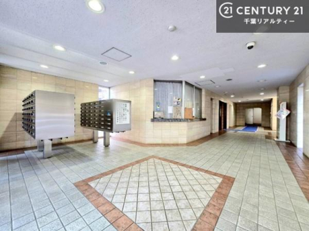 ���r�[ �L�����r�[�́A�J���������ς��ł��B����������������āA�o�}���Ă���܂��B
