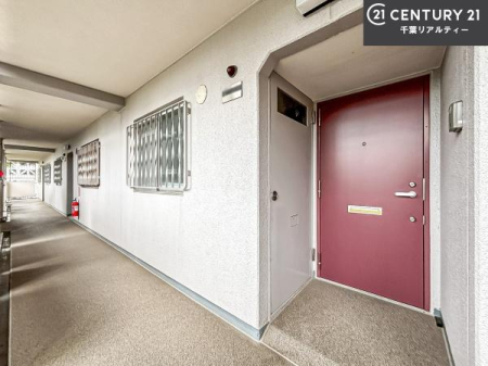 ���̑� �u���̕����C�ɂȂ�I�v�u�������Ăǂ�ȏ��H�v�u�����Əڂ����m�肽���I�v�Ǝv������A���C�y�ɂ����k���������B