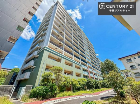 ���̑����n �u���̕����C�ɂȂ�I�v�u�������Ăǂ�ȏ��H�v�u�����Əڂ����m�肽���I�v�Ǝv������A���C�y�ɂ����k���������B