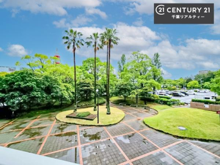 �Z�˂���̒��]�ʐ^ ������������Z��X�ł��I���͂ɂ͍����������Ȃ��A�󂪍L���J����������A�z�������傫���Ղ��邱�Ƃ�����܂���I�C�����̗ǂ������ʂ蔲����X���݂ł��I