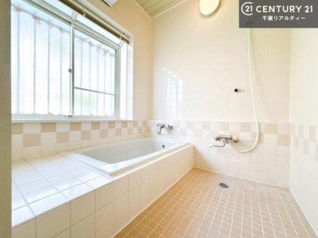 ���� 1���̔�����������Ɩ����Ă���闁���ł��B
�������̑f�G�ȃ����N�[�[�V�����ꏊ�ł��I