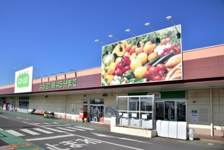 ���ӊ� �y�X�[�p�[�z�R�[�v�����X�F811m