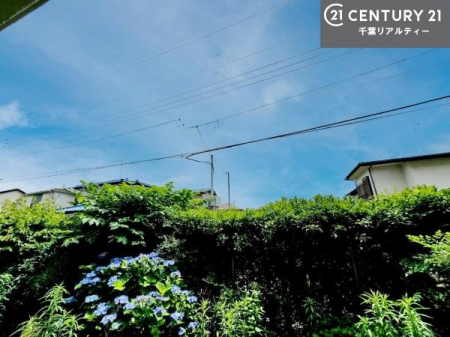 �Z�˂���̒��]�ʐ^ �΂��ӂ��i�F���y���߂钭�]�́A�܂�Ŏ��R�ɕ�܂�Ă��邩�̂悤�ȐS�n�悳�ł��B