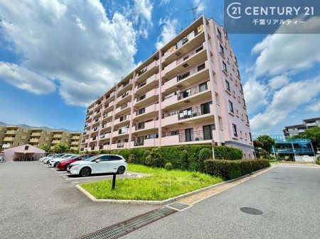 ���̑����n �u���̕����C�ɂȂ�I�v�u�������Ăǂ�ȏ��H�v�u�����Əڂ����m�肽���I�v�Ǝv������A���C�y�ɂ����k���������B