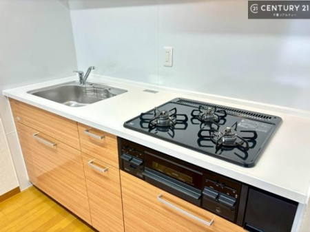 �L�b�`�� ��Ƃ����₷���V�X�e���L�b�`���ł��I���[���t���Ă���̂ŁA�����X�y�[�X�ɕ���u���Ȃ��čς݂܂��I
�L�X�g���āA���K�ɍ�Ƃ��ł��܂��I
