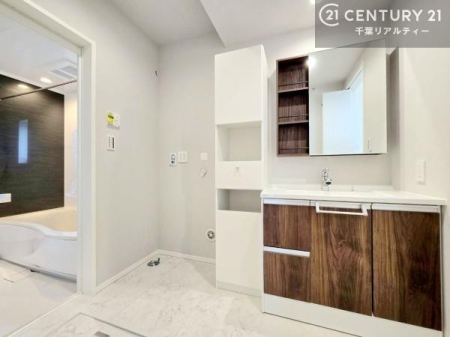 ���ʑ�E���ʏ� ���[�L�x�Ȑ��ʏ��́A�^�I������p�i���������萮���ł��A���ł��������̂����Ԃ�ۂĂ܂��B