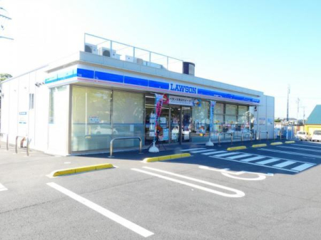 ���ӊ� �y�R���r�j�z���[�\�����c51���ʓX�F771m