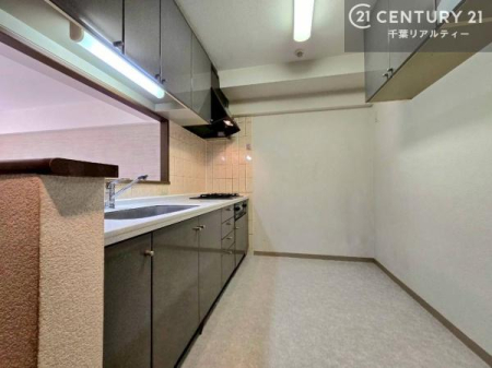 �L�b�`�� ��Ƃ����₷���V�X�e���L�b�`���ł��I���[���t���Ă���̂ŁA�����X�y�[�X�ɕ���u���Ȃ��čς݂܂��I
�L�X�g���āA���K�ɍ�Ƃ��ł��܂��I