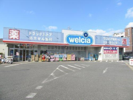 ���ӊ� �y�h���b�O�X�g�A�z�E�G���V�A��t�����X�F1686m
