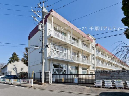 ���ӊ� �y���w�Z�z��t�s���_�c���w�Z�F920m