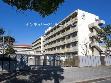 ���ӊ� �y���w�Z�z�K�u��s���掵���w�Z�F490m