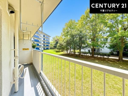 �Z�˂���̒��]�ʐ^ ������������Z��X�ł��I���͂ɂ͍����������Ȃ��A�󂪍L���J����������A�z�������傫���Ղ��邱�Ƃ�����܂���I�C�����̗ǂ������ʂ蔲����X���݂ł��I