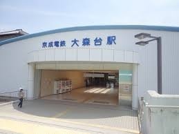 ���ӊ� �y�w�z��X��w(�����d�S �猴��)�F4384m