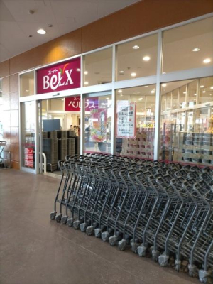 ���ӊ� �y�X�[�p�[�z�x���N�X�V�K�u��X�F1445m