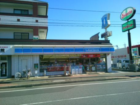 ���ӊ� �y�R���r�j�z���[�\���K�u�쉮�~�X�F583m