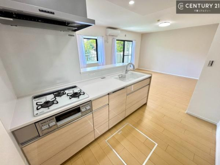 �L�b�`�� ��Ƃ����₷���V�X�e���L�b�`���ł��I���[���t���Ă���̂ŁA�����X�y�[�X�ɕ���u���Ȃ��čς݂܂��I
�L�X�g���āA���K�ɍ�Ƃ��ł��܂��I