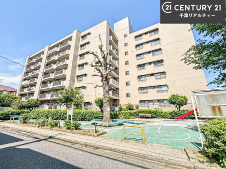 ���̑����n �u���̕����C�ɂȂ�I�v�u�������Ăǂ�ȏ��H�v�u�����Əڂ����m�肽���I�v�Ǝv������A���C�y�ɂ����k���������B