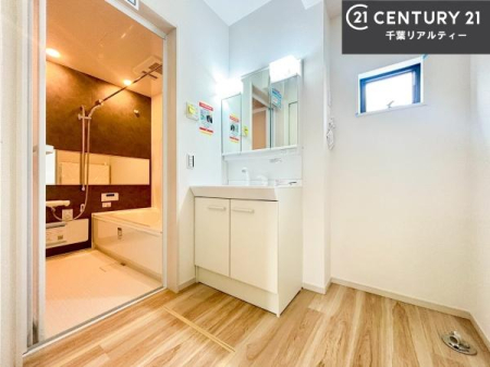 ���ʑ�E���ʏ� ���[�L�x�Ȑ��ʏ��́A�^�I������p�i���������萮���ł��A���ł��������̂����Ԃ�ۂĂ܂��B