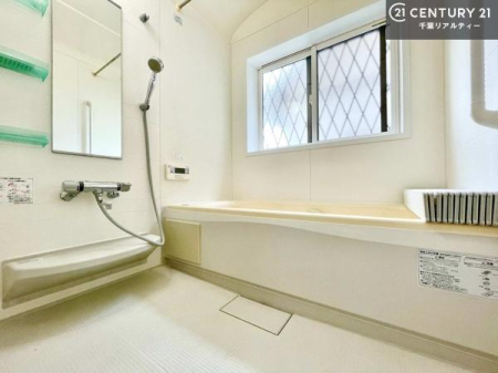 ���� �����������ƐL�΂��Ă��낰�闁���B����̔�������A�����b�N�X�����o�X�^�C�������߂������������܂��B
