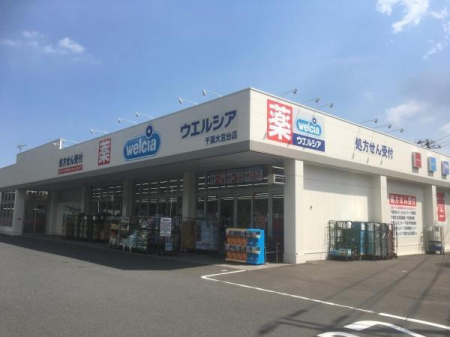 ���ӊ� �y�h���b�O�X�g�A�z�E�G���V�A��t��{��X�F775m