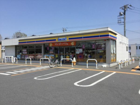 ���ӊ� �y�R���r�j�z�~�j�X�g�b�v�s���N�˓X�F255m