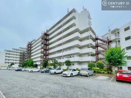 ���̑����n �u���̕����C�ɂȂ�I�v�u�������Ăǂ�ȏ��H�v�u�����Əڂ����m�肽���I�v�Ǝv������A���C�y�ɂ����k���������B