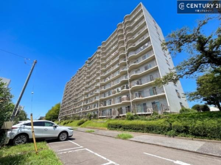 ���̑����n �u���̕����C�ɂȂ�I�v�u�������Ăǂ�ȏ��H�v�u�����Əڂ����m�肽���I�v�Ǝv������A���C�y�ɂ����k���������B